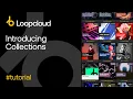 Loopcloud Collections - Organise curate and share your samples