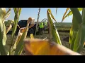 Smart Farming Get Paid for Good Data