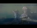 THE WORLDS MOST INCREDIBLE VIEWS | Dolby VISION™ 8K HDR