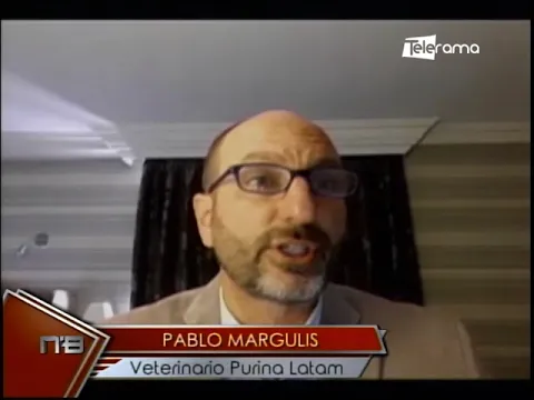 Purina lanza primera alimento para gatos reductor de alérgenos