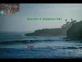 Barrels Dolphins XXl Swell in Dana Point