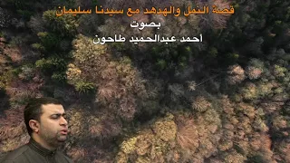 ءايات من سورة النمل بصوت الشيخ أحمد عبدالحميد طاحون Sh Ahmed Tahoun 