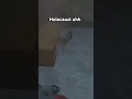 Getting gased in dayz