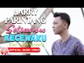 Download Lagu Harry Parintang - Setiamu Kecewaku [Official Music Video HD]