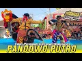 Download Lagu TARI PERANG CELENG SRENGGI - PANDOWO PUTRO - MANDA AUDIO PRO - JEBEN SANGGRAHAN PRAMBON NGANJUK 2025