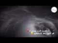 ياسر عبدالوهاب - روحي إلك 2019