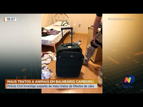 Polícia investiga mulher que carregou cães dentro de mala em Balneário Camboriú