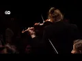 Vivaldi Summer