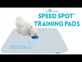 Easy Dog Training Pad Paw Inspired Speed Spot Training Pads