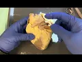 Download Lagu Dissection of heart and clinical correlates - Vet CPE Necropsy