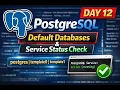 PostgreSQL Tutorial Day 12 Default Databases Explained Service Status Check