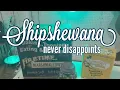 Never Disappoints-Shipshewana Auction