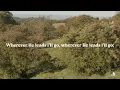 Wherever He Leads I'll Go | Lyric Video