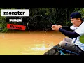 Monster sungai Kalimantan menghajar joran lentur‼️fishing in west borneo