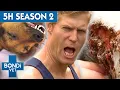 5 Hours of Full Episodes - Bondi Vet Complete Season 2 Bondi Vet