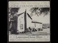 Lagu LIVING COUNTRY BLUES USA, VOL. 8–LONESOME HOME BLUES– GUITAR FRANK AND GUITAR SLIM(2008)(FULL ALBUM)