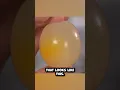 Download Lagu Make a bouncy egg #experiment #scienceteacher