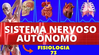 SISTEMA NERVOSO AUTÔNOMO (FISIOLOGIA DE GUYTON) - SISTEMA NERVOSO - NEUROFISIOLOGIA