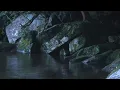 Jeremy Soule (Skyrim) — In The Forests of Tamriel [Skyrim Forestpine BSA]