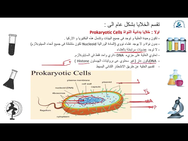 ⁣مبادئ الوراثة الجزئية: مقدمة عامة في الاحماض النووية
