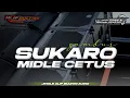 Download Lagu DJ SUKARO- ALIF SULTAN AUDIO || TRAP PARTY X MIDLE NGEPLAK-GUFF RMX ‼️