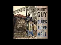 Buddy Guy   Whisky For Sale