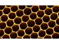Why do bees build hexagonal honeycombs - Forces of Nature with Brian Cox Episode 1