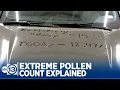 Houstonians feel effect as pollen count hits record highs