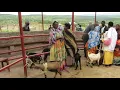 Download Lagu Randa i Ruanda s'uneixen en un projecte solidari