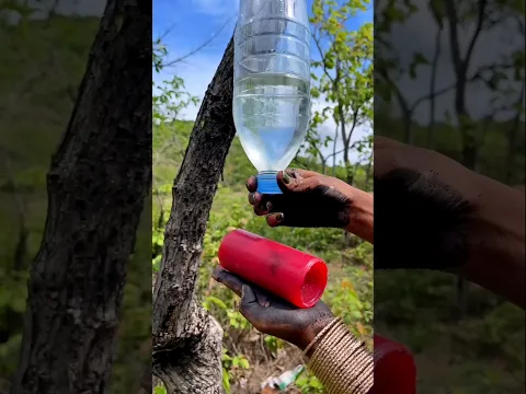 Survival Skills Mom Shows How to Make Soap and Water in forest #campping #outdoors #useful