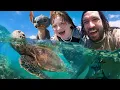 TURTLE FRiENDS swim with us Crazy Beach Day in Hawaii with Family a Boogie Board sand castles