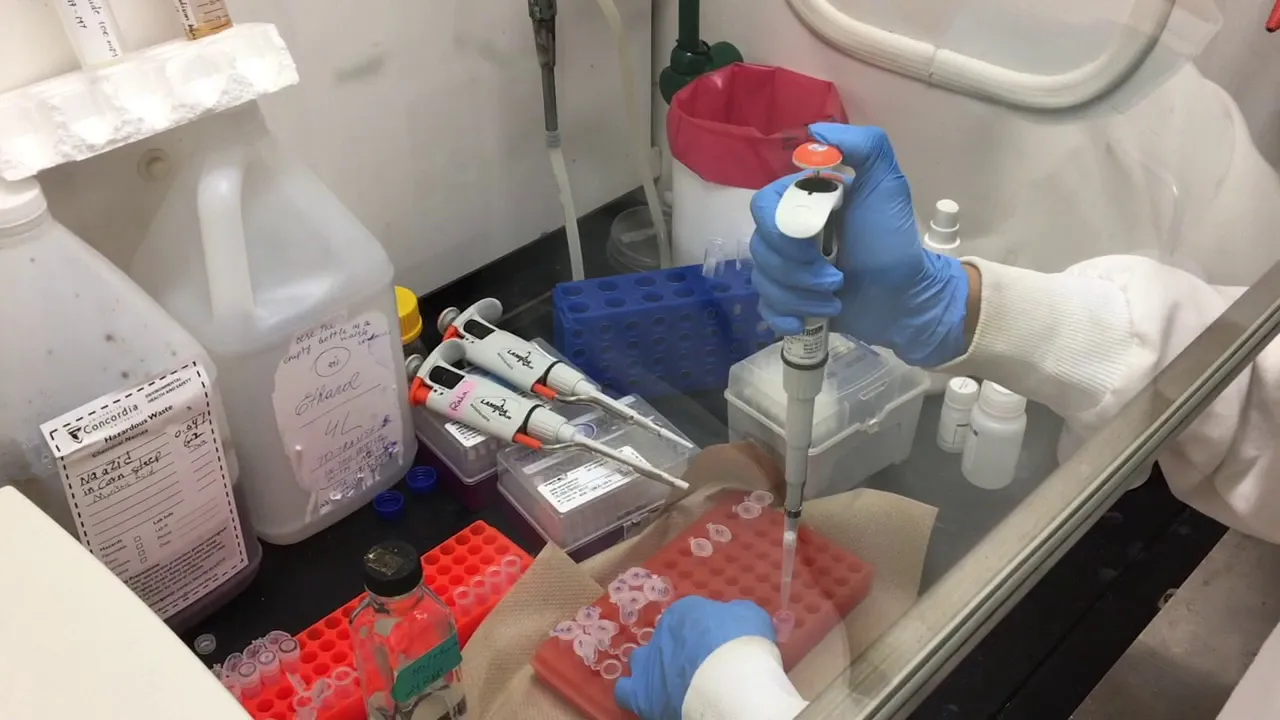 RNA Extraction from Yeast: Bead Mill Protocol | Transcriptomics Lab