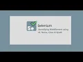 8 Selenium WebDriver WebElement Locator Id Name Class Xpath