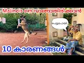 Lagu Belgium malinois നെ വാങ്ങാതിരിക്കാൻ 10 കാരണങ്ങൾ | 10 reasons why you should not get a malinois 