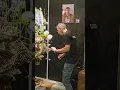 Download Lagu World Cup Floral Art 2025 - Frédéric Dupré Task #4 Dutch Coast Line