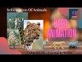 Card Animation 3D Effect using HTML Css and Js Script Coding With Dev Dholakiya