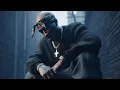 Download Lagu Eminem - Last Stand (ft. 2Pac) Robbïns Remix 2024