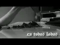 En todos lados - El Pinche Brujo