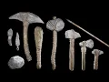 Artifact Identification and Analysis Part 1 Lithics