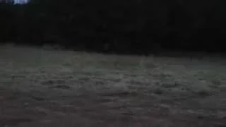 survivor island 2