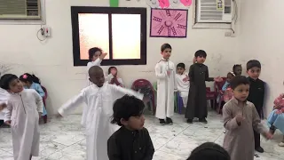 طائر النورس تدريب 