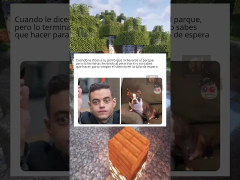 Perros Agresivos