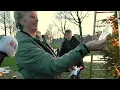 Lagu Slootdorpers hangen wensen in de kerstboom