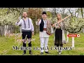 Download Lagu MARIUS TUGULESCU - MUIERE LEAGA CATEAUA 🆕
