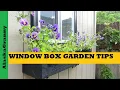 Window Box Plant Care Garden Tips Tricks Hacks