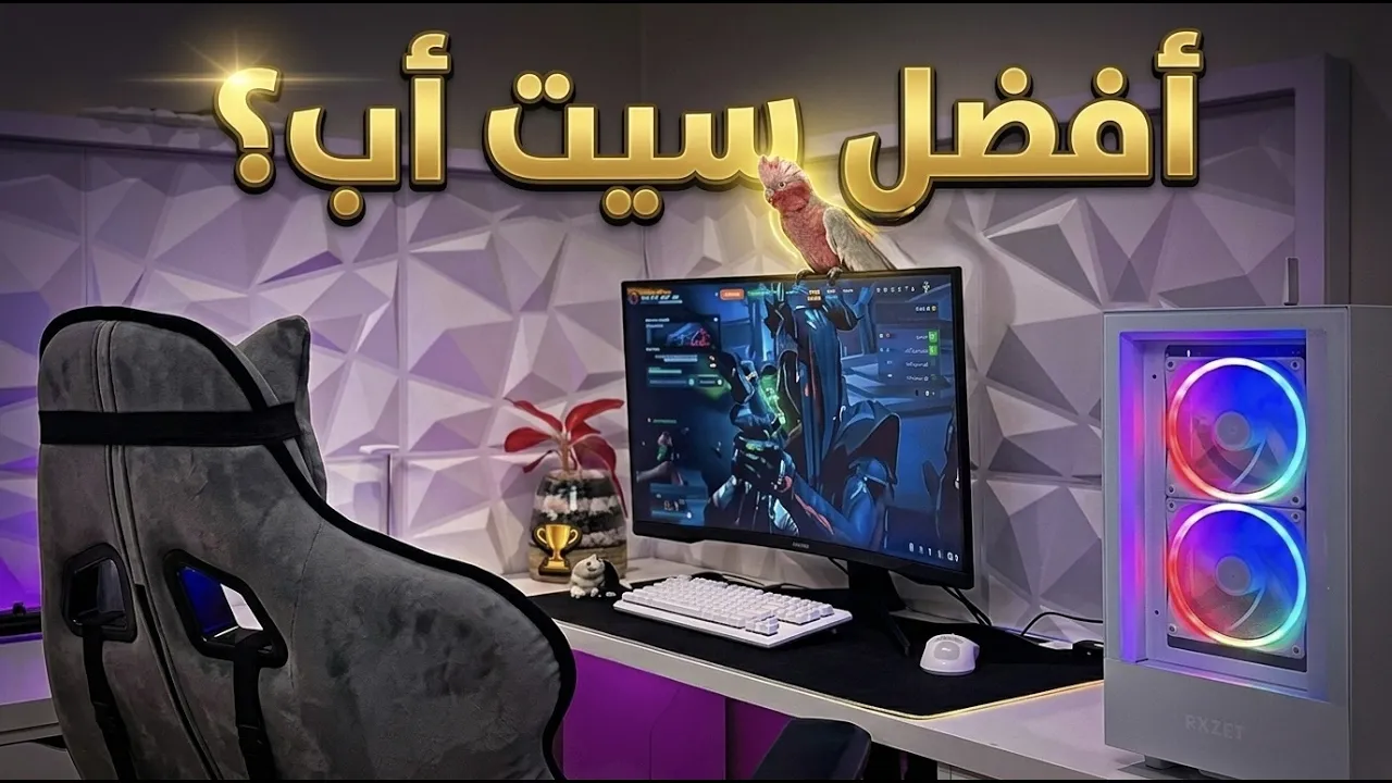 تقييم سيت أب المتابعين #1