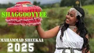 Mahammad Sheekaa Shaggooyyee New Ethiopian Oromo Music 2025 