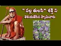 Download Lagu Mahaswami told how important it is to have a black Tulasi plant at home. I Black Tulasi I Nalla T...