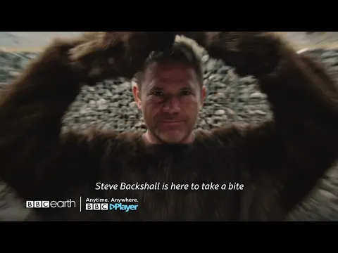 Deadly Predators | BBC Earth | BBC Player