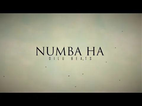 Download MP3 DILU Beats - Numba Ha (Suraganak Wilasa) - Official Lyrics Video